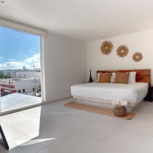 Suite Estándar